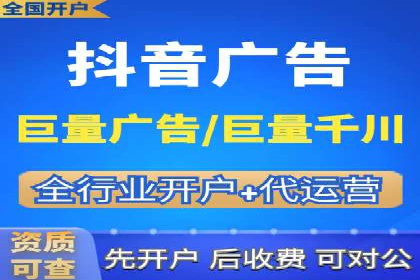 SEO百度推广策略：成功案例解析